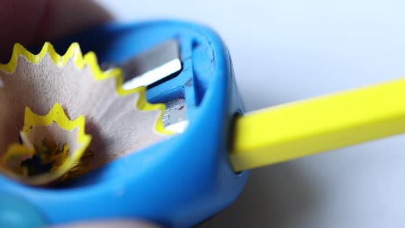 Yellow Wooden Pencil Shavings Coming Out From Blue Sharpener Closeup View