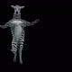57 Zebra Dancing HD - VideoHive Item for Sale
