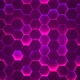 Pink Color Neon Light Hexagon Animated Background - VideoHive Item for Sale