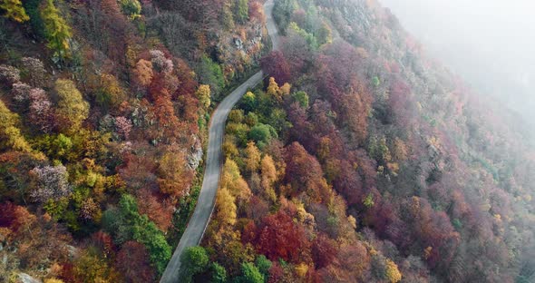 Forward Aerial Top View Over Road in Colorful Countryside Autumn Forest