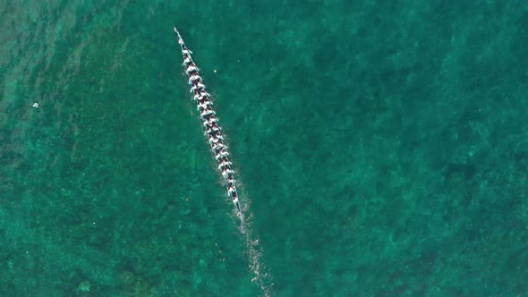Aerial: top down kora-kora traditional canoe annual race in Banda, Indonesia