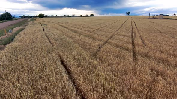 From the edge of a wheat field the camera slides and pans to reveal epic stormy skies.