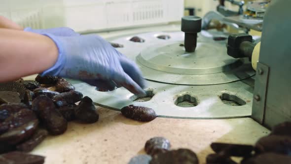 Crop Hands Putting Sweets Into Wrapping Machine. Candy Factory.