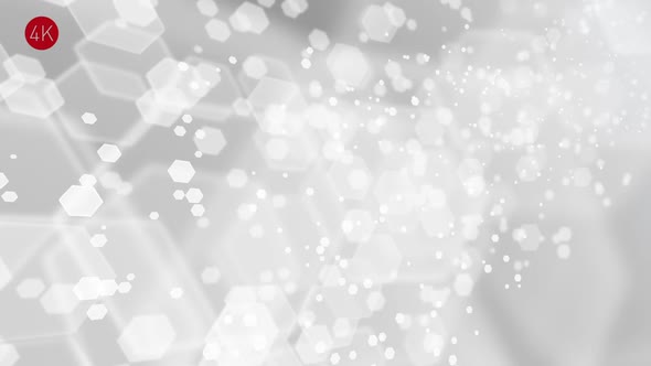 Soft White Hexagons Background 1 alt