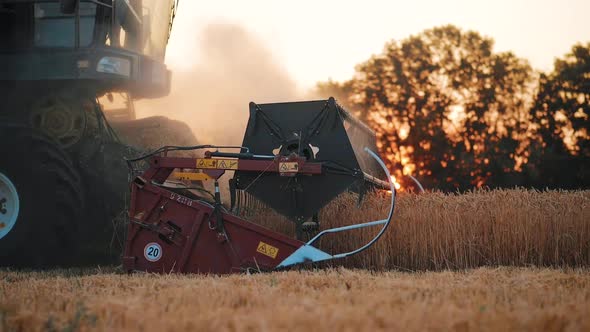 Wheat Harvest Concept