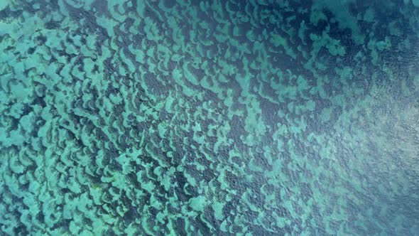 Top View Of The Seabed Through Crystal Clear Water