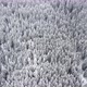 Aerial drone view of beautiful winter scenery with pine trees covered with snow - VideoHive Item for Sale