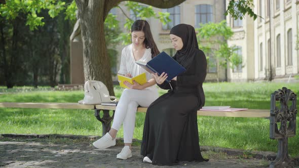 Wide Shot of Two Concentrated Female Students Sitting on Bench Outdoors and Talking. Portrait of