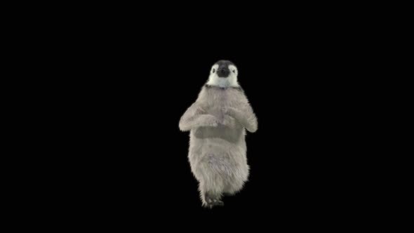 Penguin Dancing HD