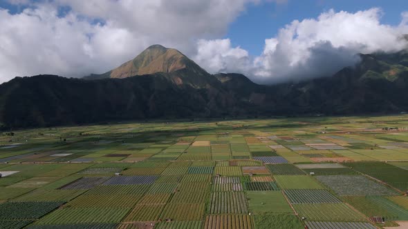 Epic aerial wide shot of asian agriculture farm fields and mountain panorama with clouds in backgrou