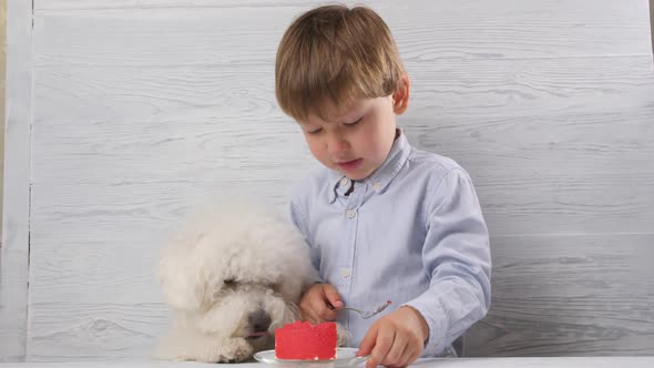 The Little Boy Handed the Cake to the Dog and He Began to Eat It