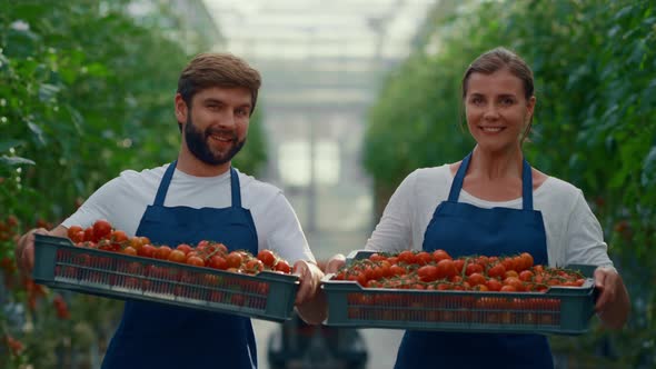 Two Farmer Looking Camera Holding Organic Vegetable Box Tomato in Greenhouse