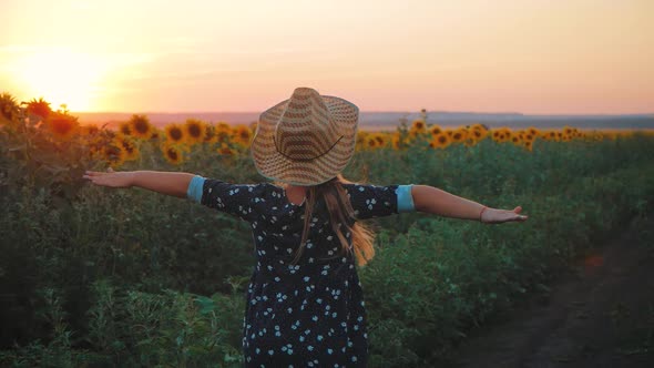 Child Girl Runs Across the Field of Sunflowers, Hands Are Opened at Sun Down.