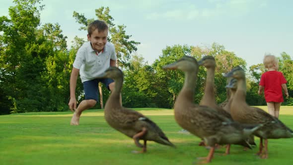 Brother and Toddler Looking Ducks in Field. Boy Playing with Birds in Meadow