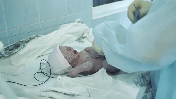 A Newborn Child Is Being Taken Care of By the Doctor