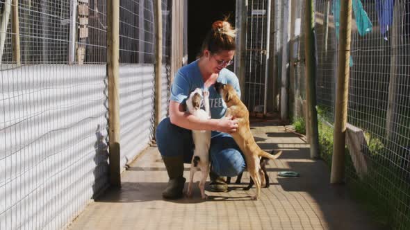Dog in a shelter with volunteer