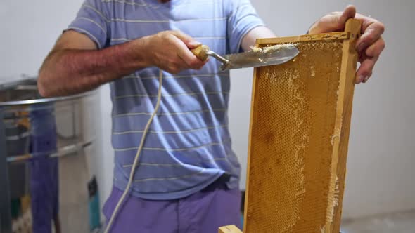 Beekeeper cutting wax lids with hot knife from honeycomb