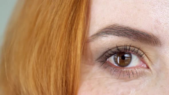 Woman's Brown Eyes