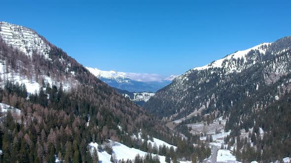 Alps Mountain Range With Coniferous Forest In Uzbekistan, Central Asia. Aerial Wide Shot