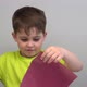 a Little Boy Cut a Beard Out of Colored Paper and Have Fun - VideoHive Item for Sale