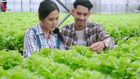 handheld asian couple farmer takecare and discuss how to growth plant in hydroponic farm