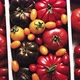 Assortment of Tomatoes in a Wooden Box - VideoHive Item for Sale