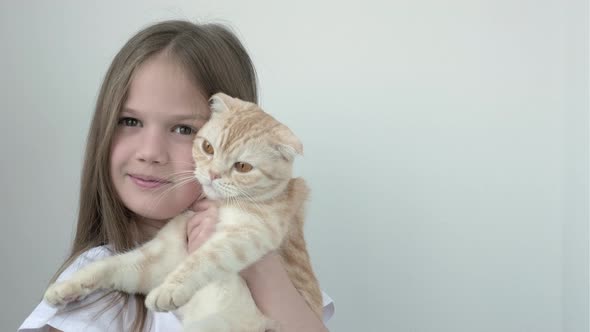 Portrait of Smiling Little Girl with Red Cat Breed Scottish Fold Looking at Camera