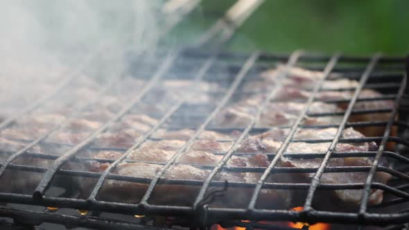 Appetizing Meat Barbecue At The Stake