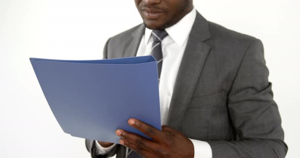 Portrait of businessman smiling and holding a file