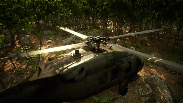 Military Helicopter in Deep Jungle