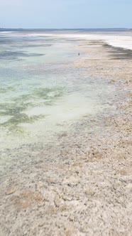 Vertical Video of Low Tide in the Ocean Near the Coast of Zanzibar Tanzania