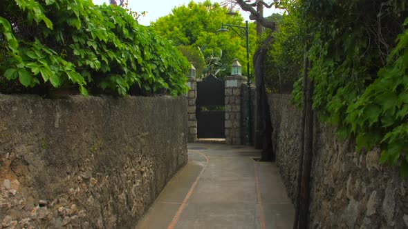 Shot of typical narrow street on the Capri island, Italy at daytime. Boundary walls and green bushes