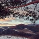 Colorful Twilight in Winter Rural Landscape - VideoHive Item for Sale