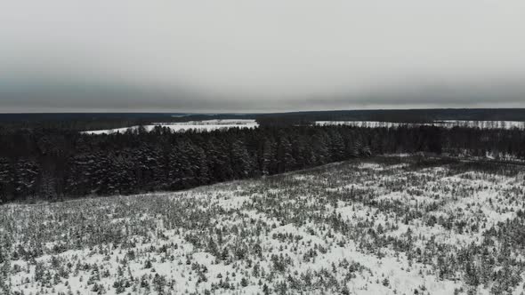 Flying over the tree nursery.