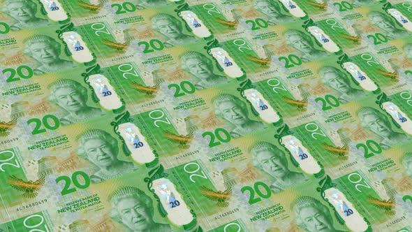 New Zealand Money 20 New Zealand Dollar 4K