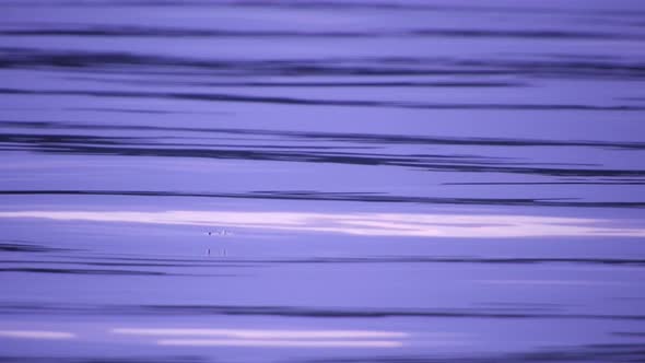 Small water waves at sunset in the lake