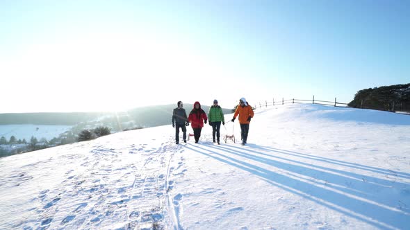 Active Senior Couples Walking With Sledges on Snow