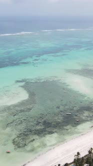 Vertical Video of the Ocean Near the Coast of Zanzibar Tanzania