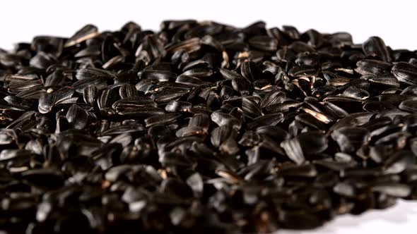 Sunflower Seeds on White, Rotation