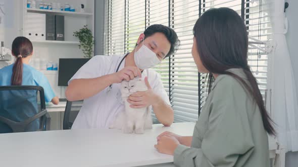 Asian veterinarian examine cat during appointment in veterinary clinic.
