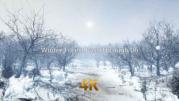 Winter Forest Pass Through 4K 06