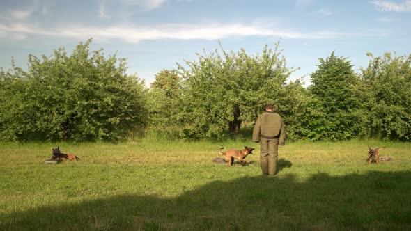 Dogs Are Training To Protect a Property.