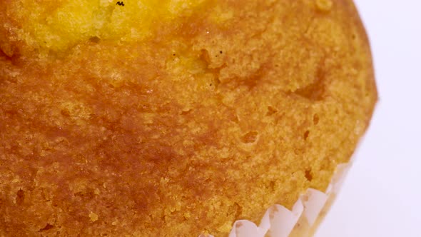 Macro shot of simple, healthy and traditional muffin freshly baked rotating, close up view in 4k. Sp