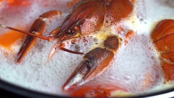 Boiling Crayfish at Saucepan