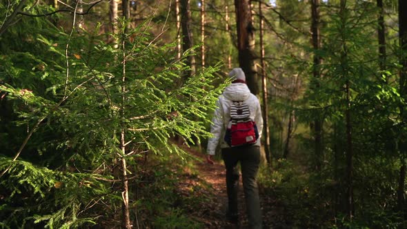 Forest Woman Travels Through Forest Walking Along Path in Autumn Spbas