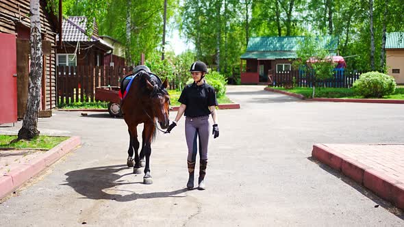 Lovely Young Woman Wearing Helmet Going with Her Brown Horse