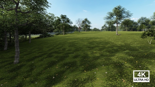 Flying Over Green Field On Bright Sunny Summer Day