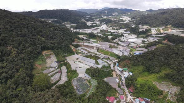 Cameron Highlands, Pahang Malaysia