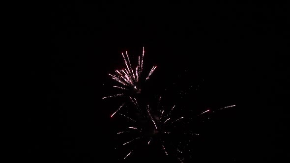 Multicolored Fireworks in Night Sky