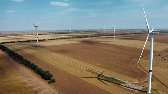 Wind Farm Top View